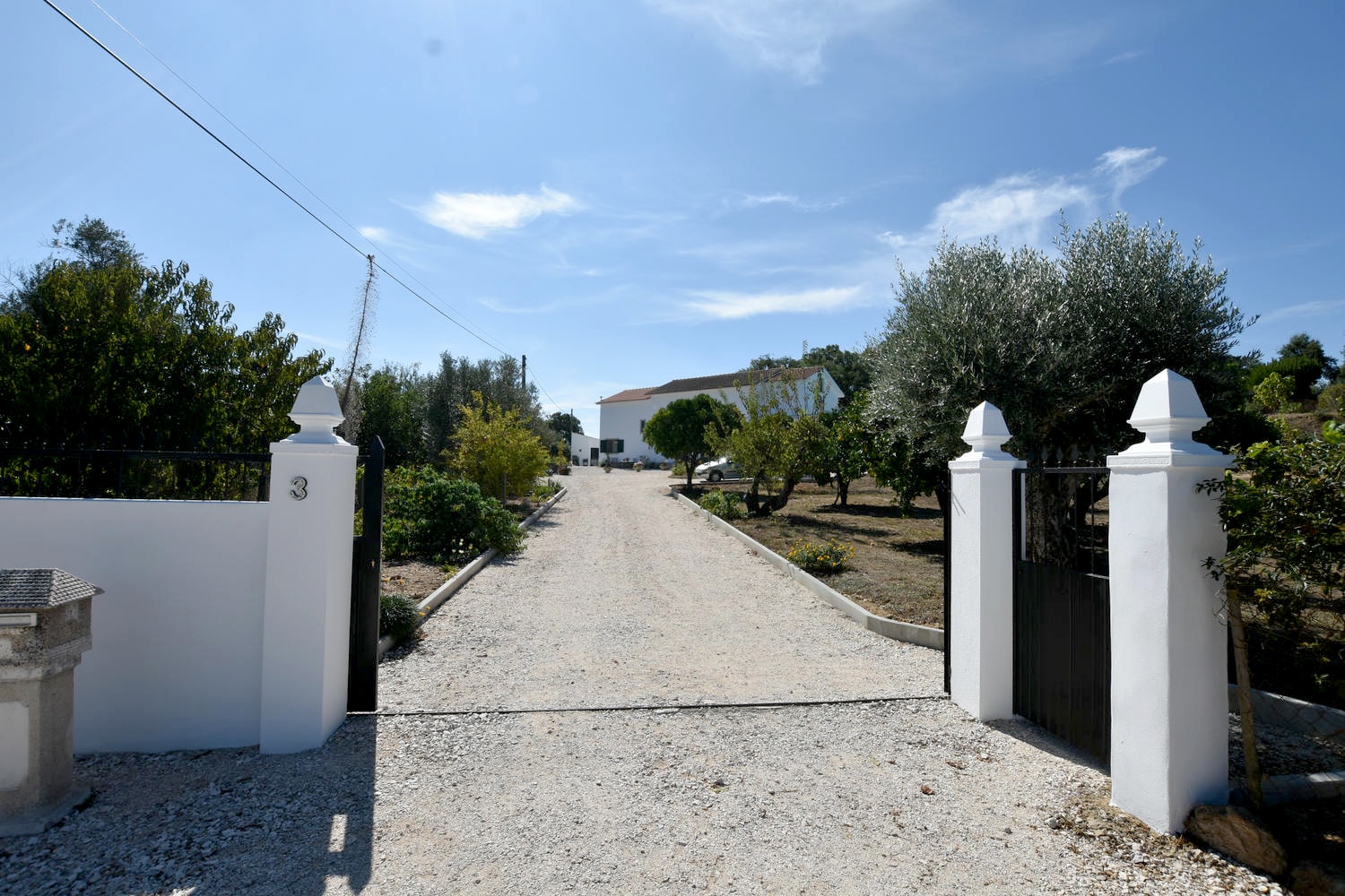 Main Photo