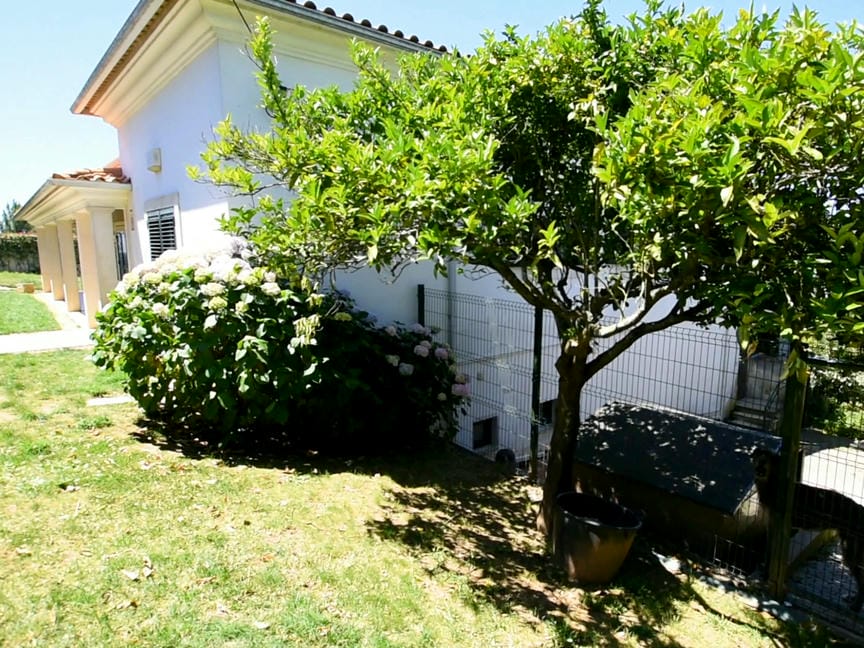 Main Photo