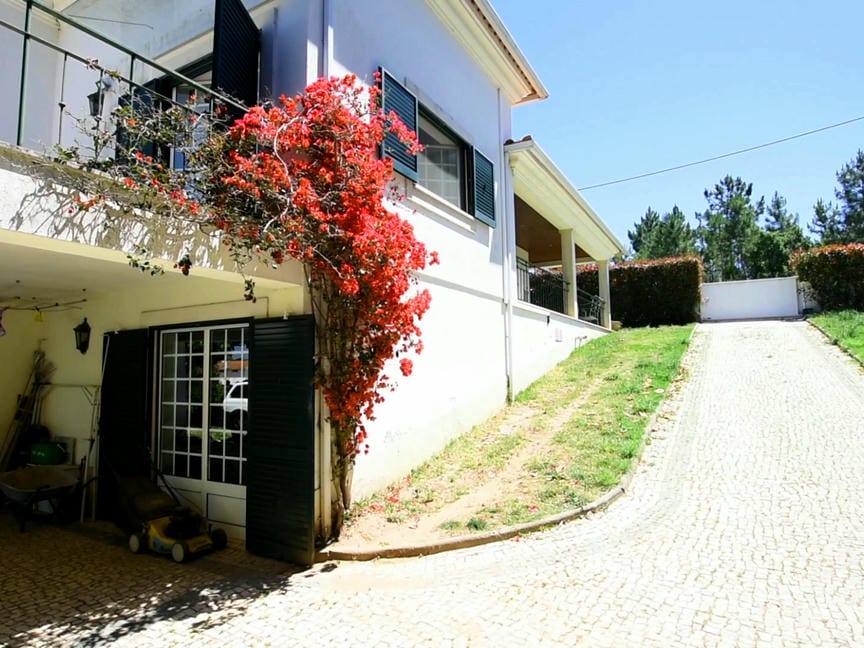 Main Photo