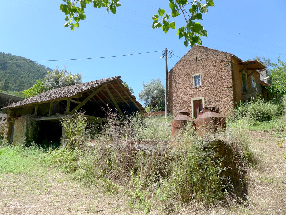 Main Photo