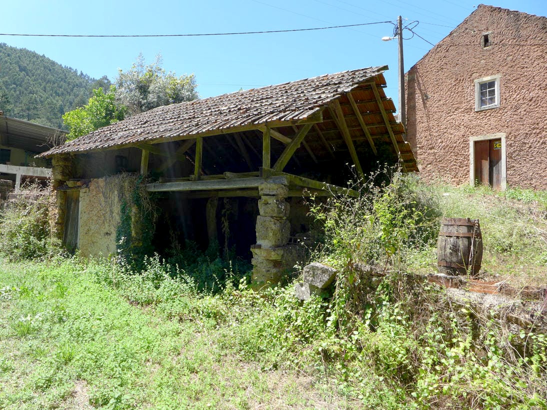 Main Photo