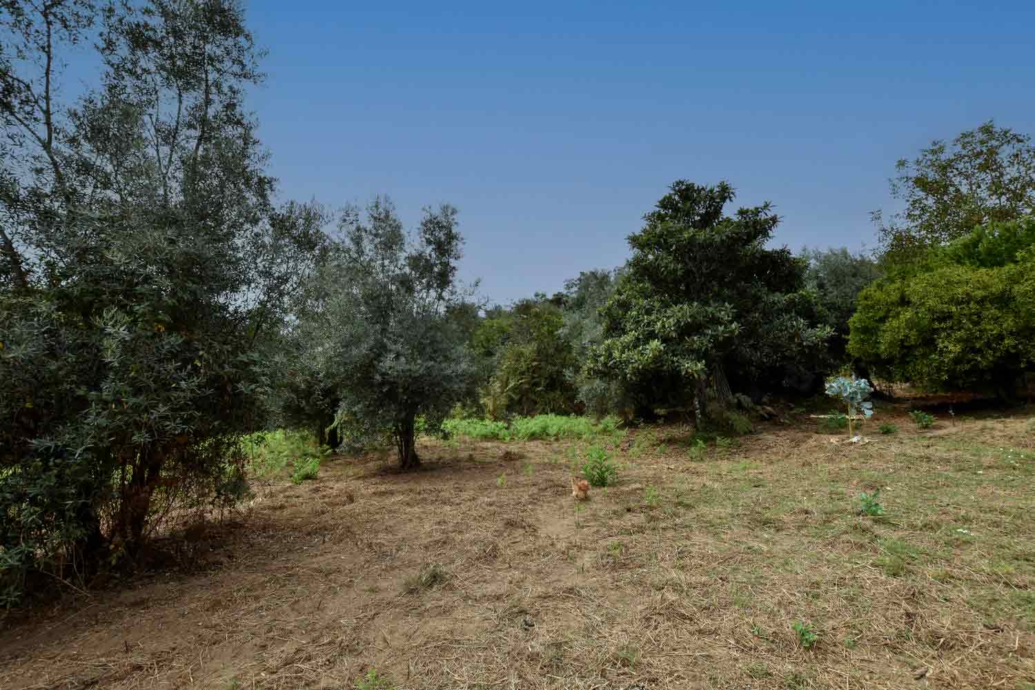 Main Photo