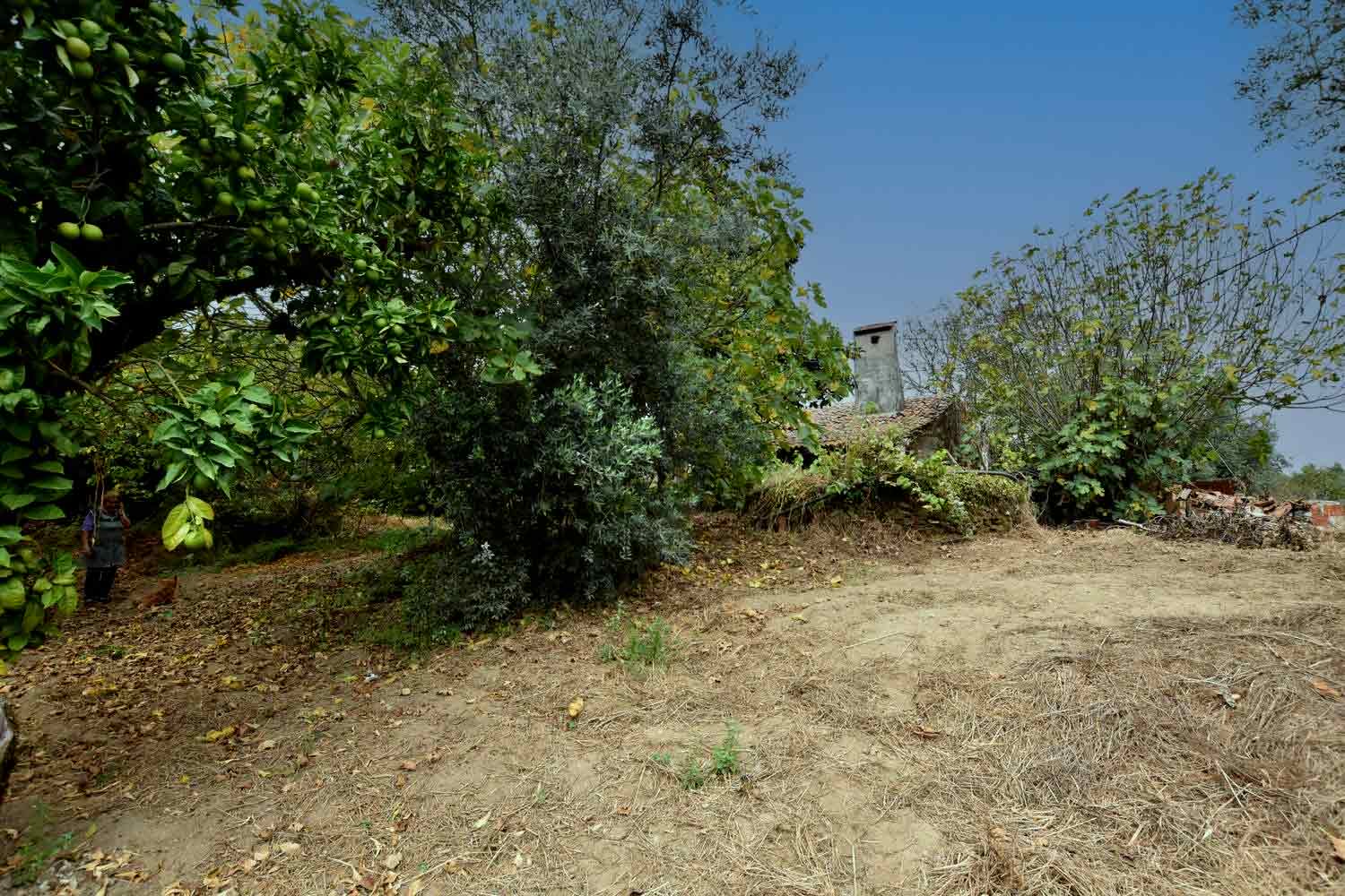 Main Photo