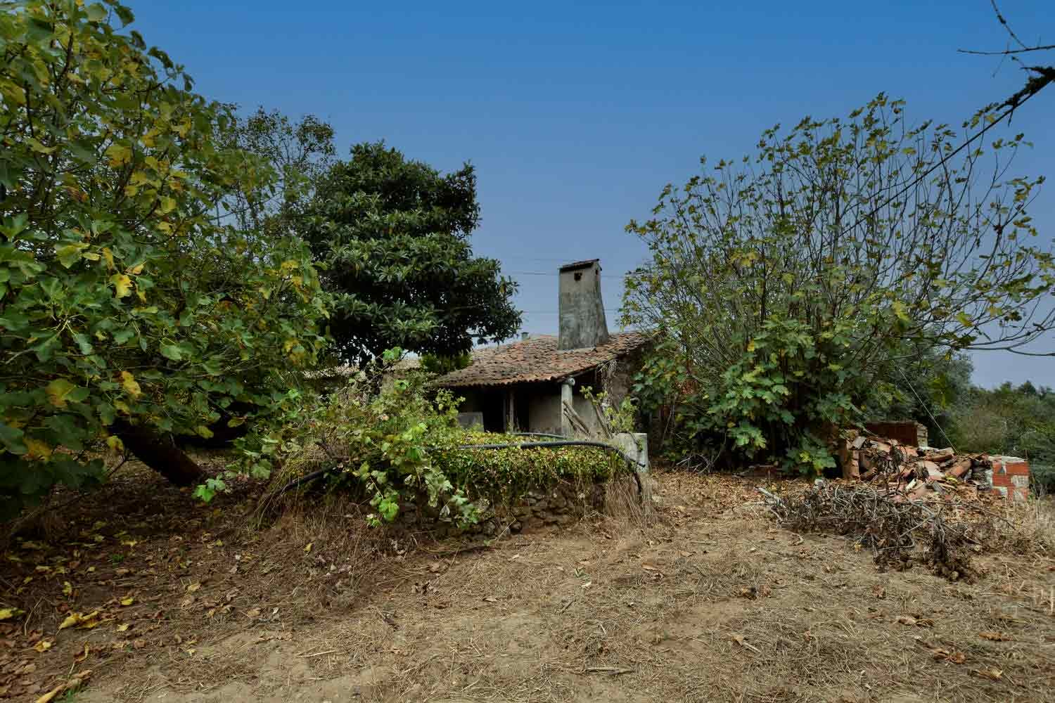 Main Photo