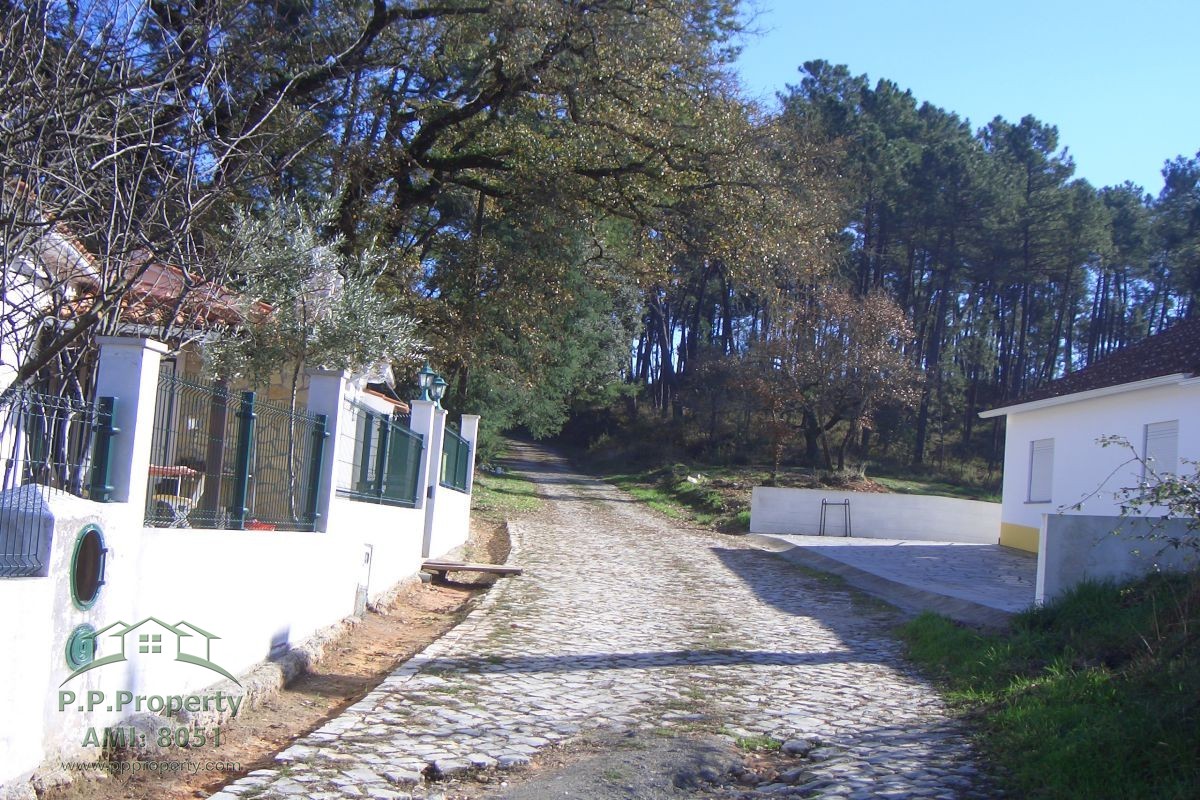 Main Photo